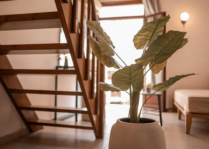 Casa Veneta Hotel La Canée